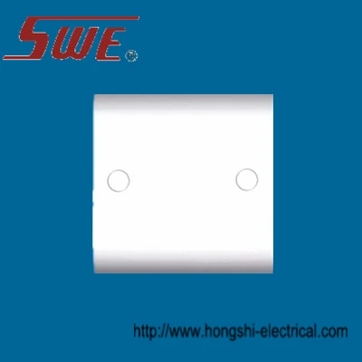 Blank Plate