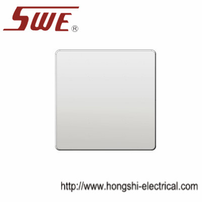 Blank Plate