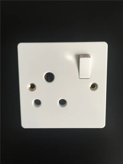 Switched BS 546 Socket
