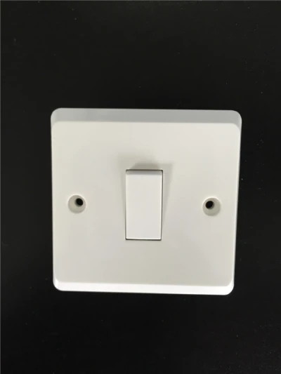 1 Gang Plate Switch 10AX 250V
