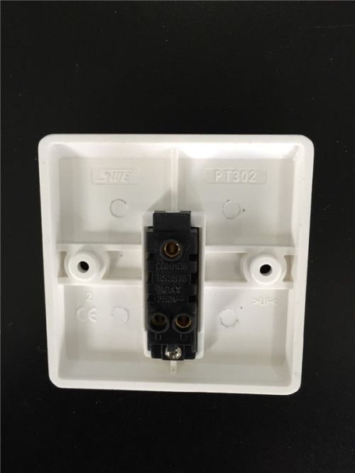 1 Gang Plate Switch 10AX 250V