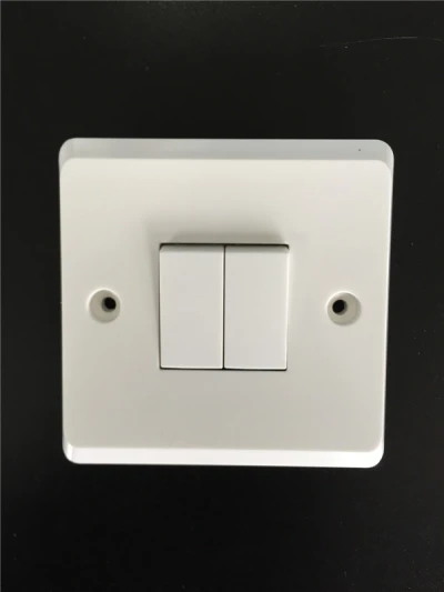 2 Gang Plate Switch 10AX 250V