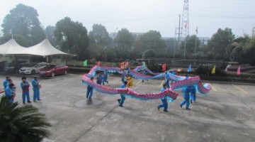 鸿世开年盛典——龙腾盛世耀鸿世