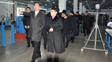 Wu Yufeng, district head of Fuyang district, paid an inspection visit to Hongshi