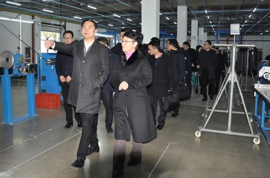 Wu Yufeng, district head of Fuyang district, paid an inspection visit to Hongshi