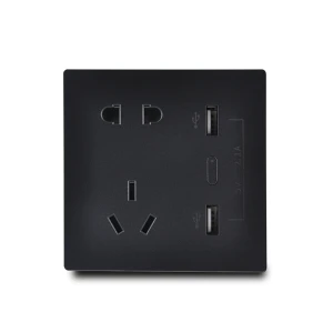 250V 10A Smart Zigbee Wall Socket with USB Charging Ports