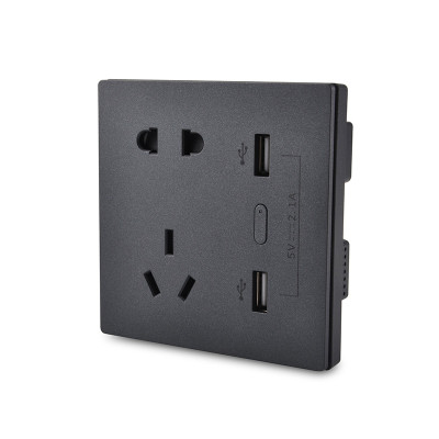 250V 10A Smart Zigbee Wall Socket with USB Charging Ports