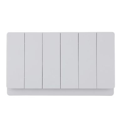 Large Panel 6 Gang 1 Way/2 Way Wall Switch 10AX 250V~(PC Panel, 4 Colors)