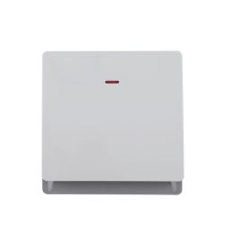 1 Gang DP Wall Switch with Neon 20A 250V~/45A 250V~(PC Panel, 4 Colors)