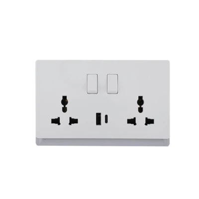 16A 250V~ 2 Gang Universal Switched Socket Electrical Outlet + Type A&C 2.1A USB (PC Panel, 4 Colors)