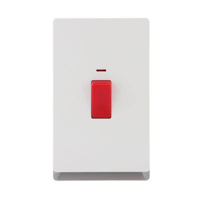 1 Gang Wall Switch with Neon SP/DP 13A 250V~(PC Panel, 4 Colors)