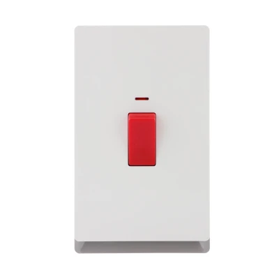 1 Gang Wall Switch with Neon SP/DP 13A 250V~(PC Panel, 4 Colors)