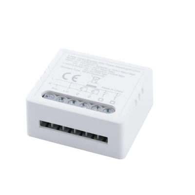 10A 2 Gang Wi-Fi Smart Relay Switch Wireless Controller Smart Breaker for Lighting AC/DC Power Metering