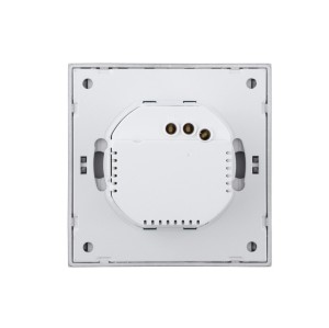 Ultra-Thin Skin-Feeling Panel WiFi Protocol 1 Gang Smart Wall Switch L&N Version with Tuya Smart/Smart Life APP