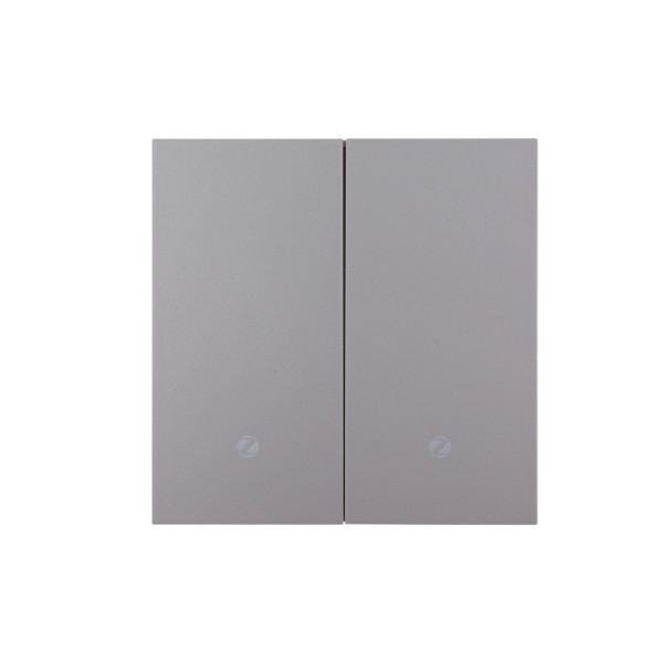 Ultra-Thin Skin-Feeling Panel WiFi Protocol 2 Gang Smart Wall Switch L&N Version with Tuya Smart/Smart Life APP