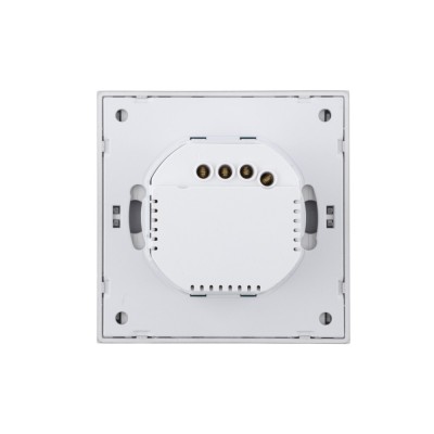 Ultra-Thin Skin-Feeling Panel WiFi Protocol 2 Gang Smart Wall Switch L&N Version with Tuya Smart/Smart Life APP