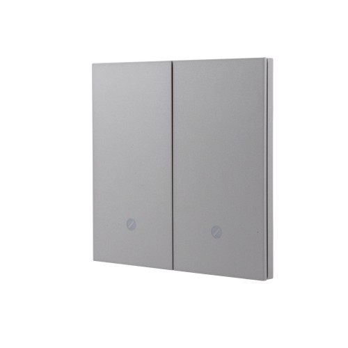 Ultra-Thin Skin-Feeling Panel WiFi Protocol 2 Gang Smart Wall Switch L&N Version with Tuya Smart/Smart Life APP