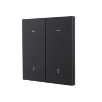 Ultra-Thin Skin-Feeling Panel ZigBee Protocol 2 Gang+2 Scene Smart Wall Switch L&N Version with Tuya Smart/Smart Life APP