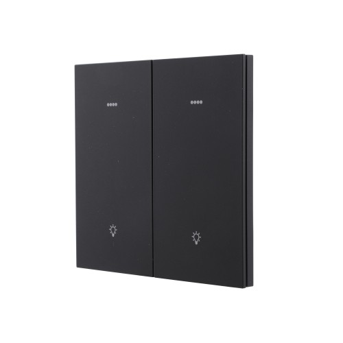 Ultra-Thin Skin-Feeling Panel ZigBee Protocol 2 Gang+2 Scene Smart Wall Switch L&N Version with Tuya Smart/Smart Life APP