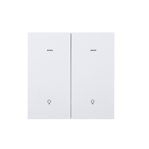 Ultra-Thin Skin-Feeling Panel ZigBee Protocol 2 Gang+2 Scene Smart Wall Switch L&N Version with Tuya Smart/Smart Life APP