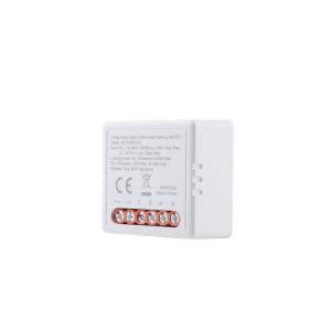 10A 2 Gang Wi-Fi Smart Relay Switch for GateWireless Controller Smart Breaker for Lighting AC/DC Power Metering