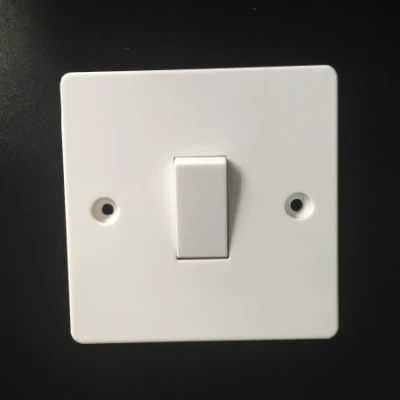 1 Gang Plate Switch 10AX 250V