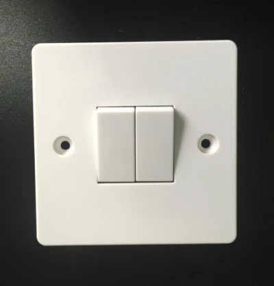2 Gang Plate Switch 10AX 250V