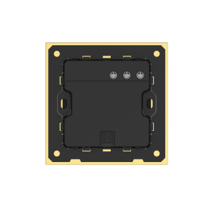 1 Gang 250V 10A Smart ZigBee Wall Switch (L-N Version) Stainless Steel Gold Plated Frame High Luxury Style Home Decoration