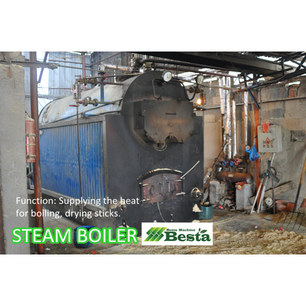 Steam Boiler 2T