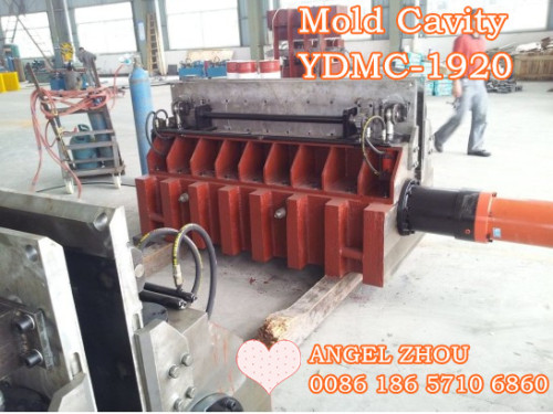 Mold Cavity of Cold Press