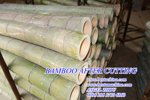 bamboo sawing machine, bamboo stick machineries