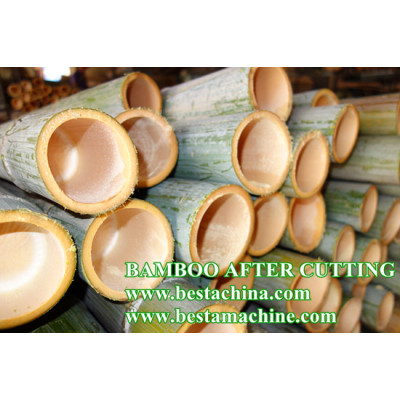 RAW BAMBOO SAWER