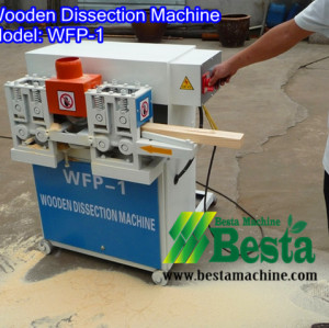 Wood Dissection Machine, Wooden Toothpick Machine