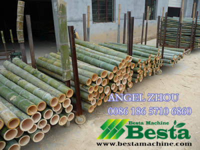 Raw Bamboo Sawer