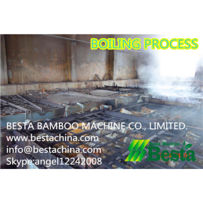 Wood Rotary Cutting Process, Ice- cream stick manufacturing process