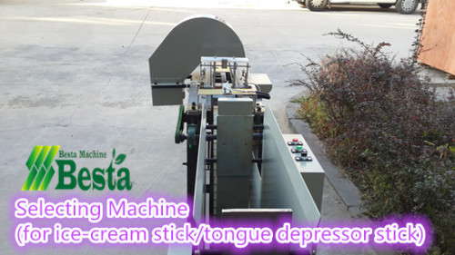 Ice-Cream Stick Selecting Machine (Quality Control)