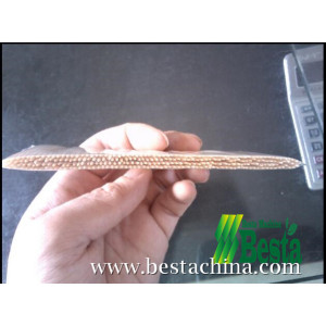 Toothpick Packing Machine (multiple quantity)