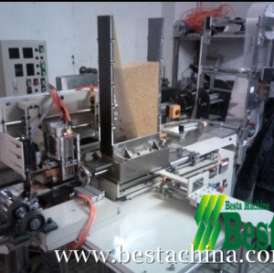 Toothpick Packing Machine (multiple quantity)