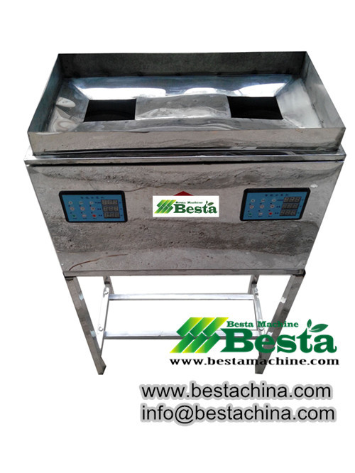 Toothpick Filling Machine, Toothpick Plastic Container filling Machine