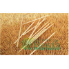 BEST SELLING (BAMBOO TOOTHPICK MACHINE)
