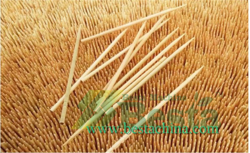 Bamboo Toothpick Machines