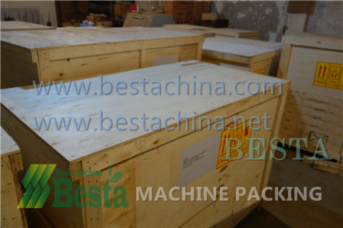 Bamboo Machine, Bamboo Stick Machines