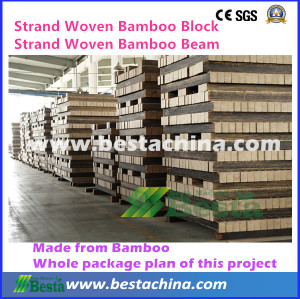 Strand Woven Bamboo Furniture Board Line (Machine Supplier)