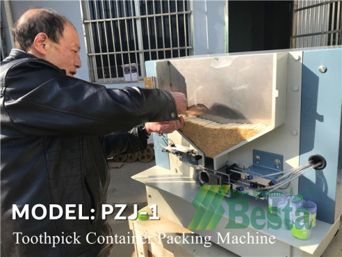 PZJ-1 Toothpick Filling Machine, Toothpick Packing Machine by plastic container