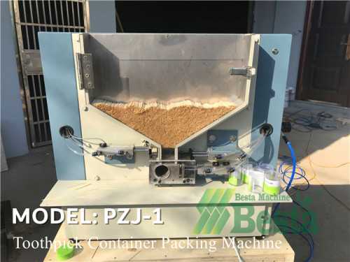 Toothpick Plastic Container Packing Machine