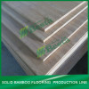 Solid Bamboo Flooring Machine