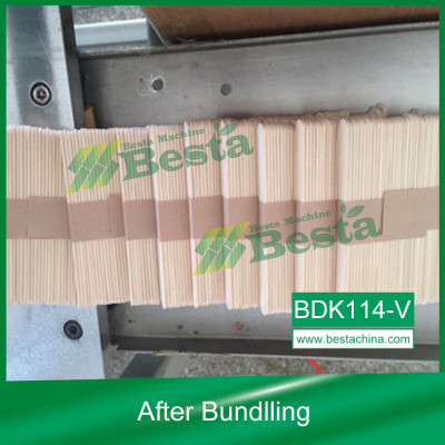 Ice-cream Stick Bundlling Machine BDK114