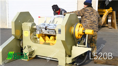 L520B Wood Rotary Cutting Machine, tongue depressor stick making machine