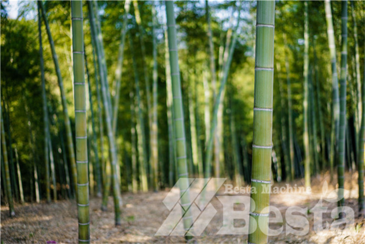 bamboo flooring machine2