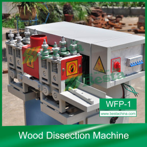 Wooden Toothpick Machines, Wood Dissection Machine